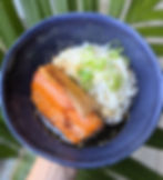 Teriyaki & Rice