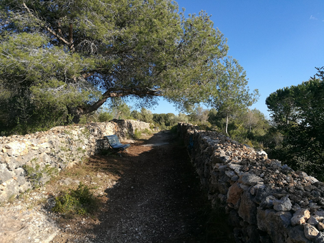 S’inaugura una via verda entre Vilanova i el camí Vell de Cubelles