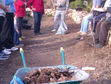 Vols ser voluntàri/a?