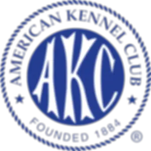 AKC.webp
