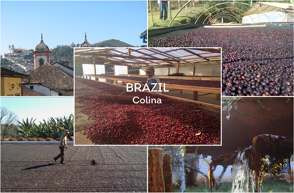 Brazil Colina