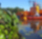 Weed Harvesting in Sodus Wetlands