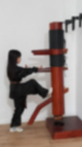 wing chun - Yiting wu.jpeg
