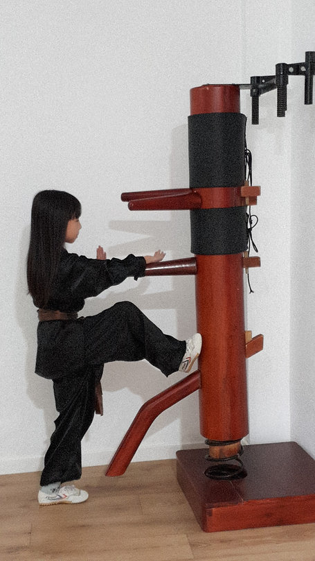 wing chun - Yiting wu.jpeg