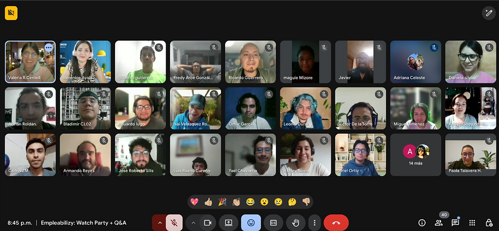 Captura de pantalla 2025-06-18 145324