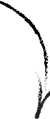 Element 22_edited.png