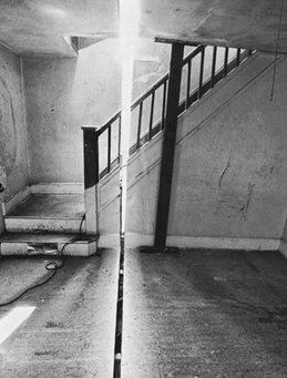 La Autoría en la Arquitectura: Compacidad, Luz Cenital y Colaboración Creativa