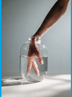 Fermented Fish for your Health
