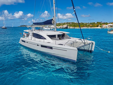 Where to Find Sea Turtles in the British Virgin Islands