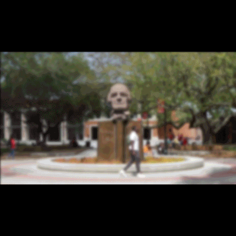 Lamar University intros