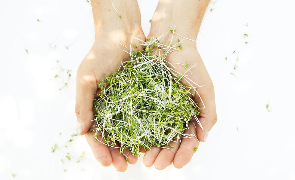 EARTI_INVESTMENT DECK (9).png