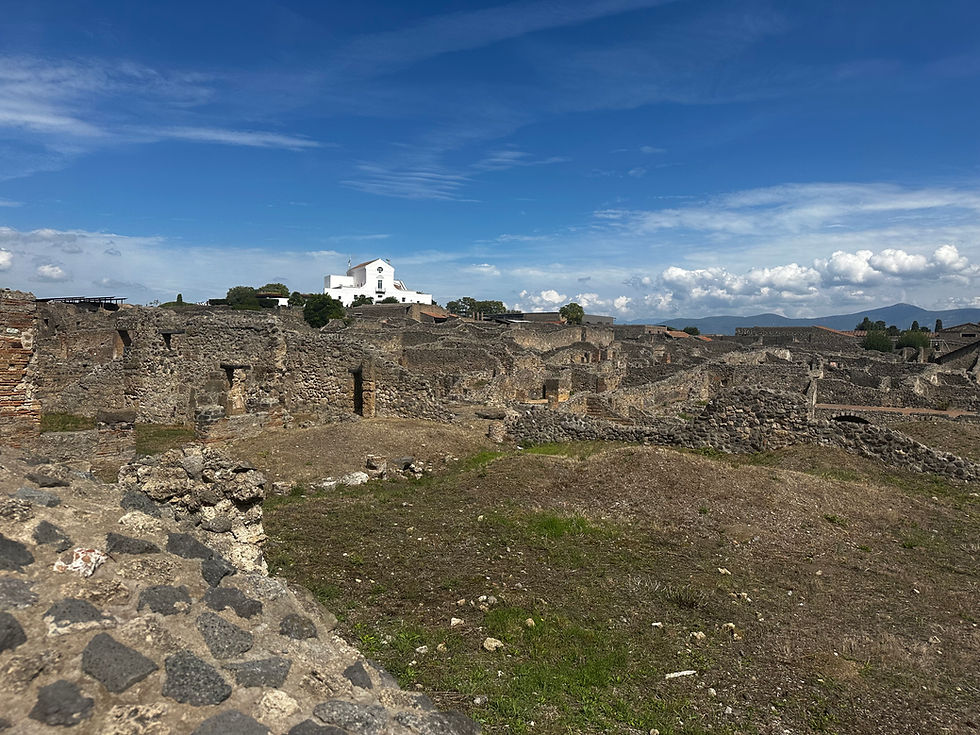 Excavation of Pompeii