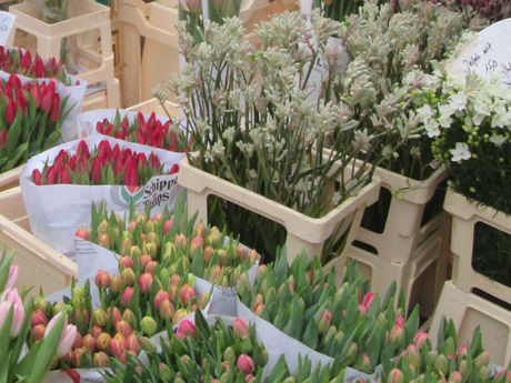 Amsterdam & Brussels Weekend Itinerary