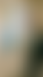 UK Student Visa Patterns in 2025: Key Shifts and Outcomes