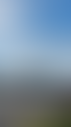 Skyline of Calgary, Alberta, featuring modern high-rise buildings and the iconic Saddledome arena under a bright blue sky, representing Alberta’s growing urban landscape and the ongoing debate about immigration caps and their potential impact on students.