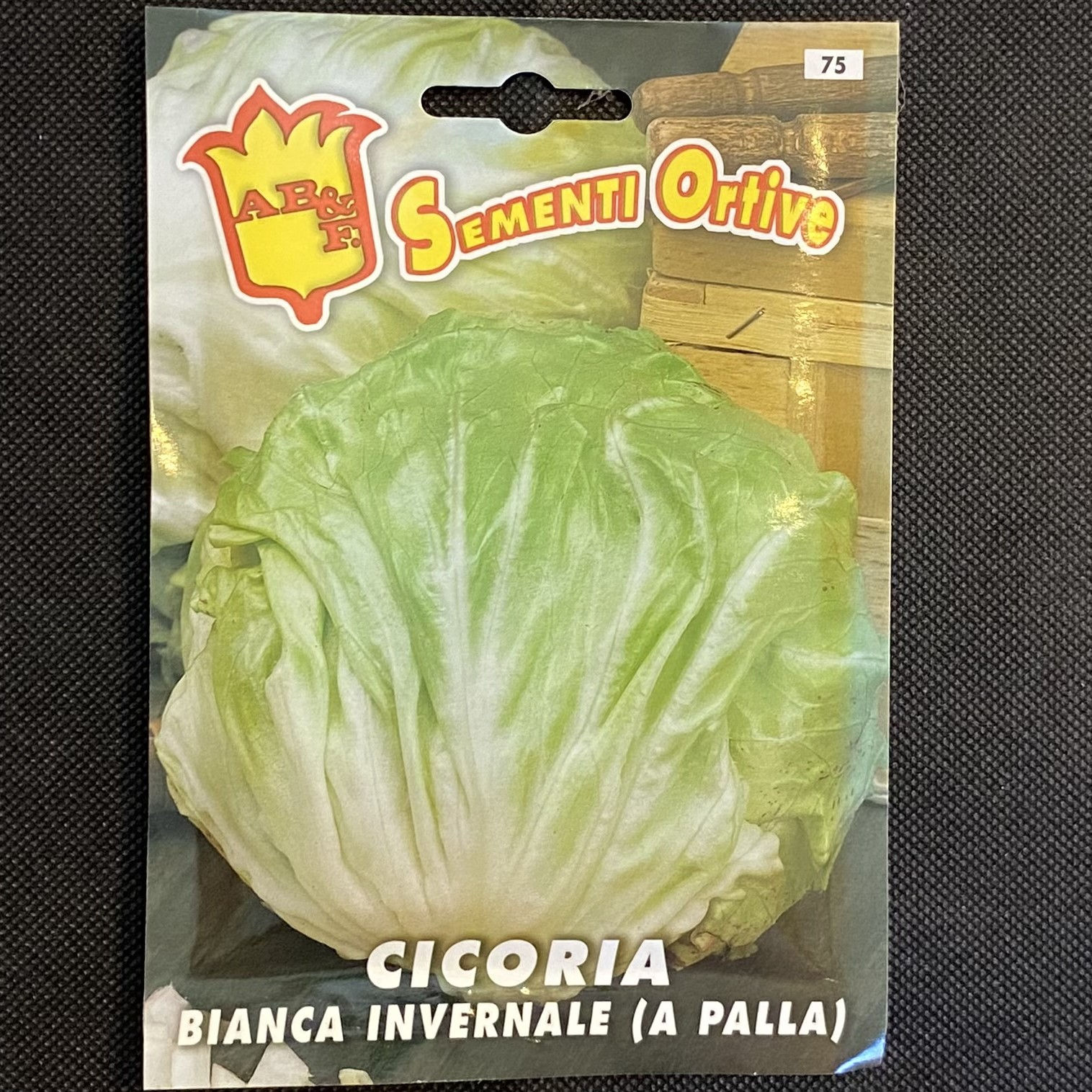 Semi Cicoria Bianca Invernale a Palla