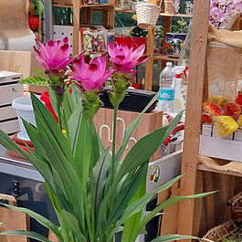 <p class="font_8">A partire da € 25.00</p>