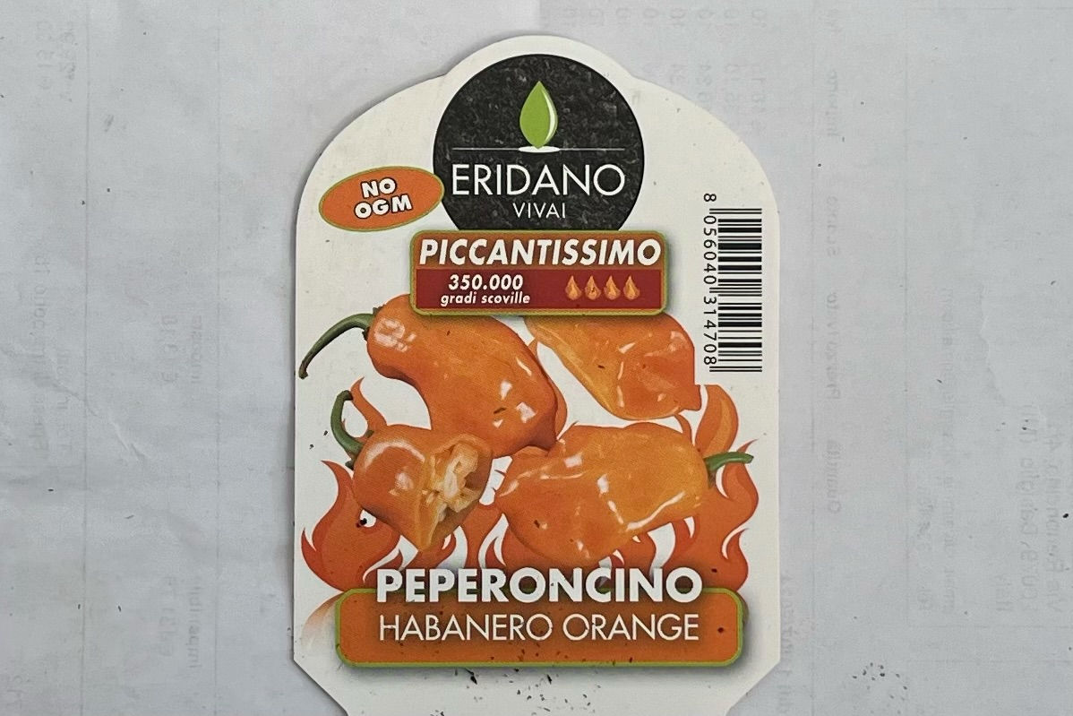 Peperoncino Piccante Habanero Orange