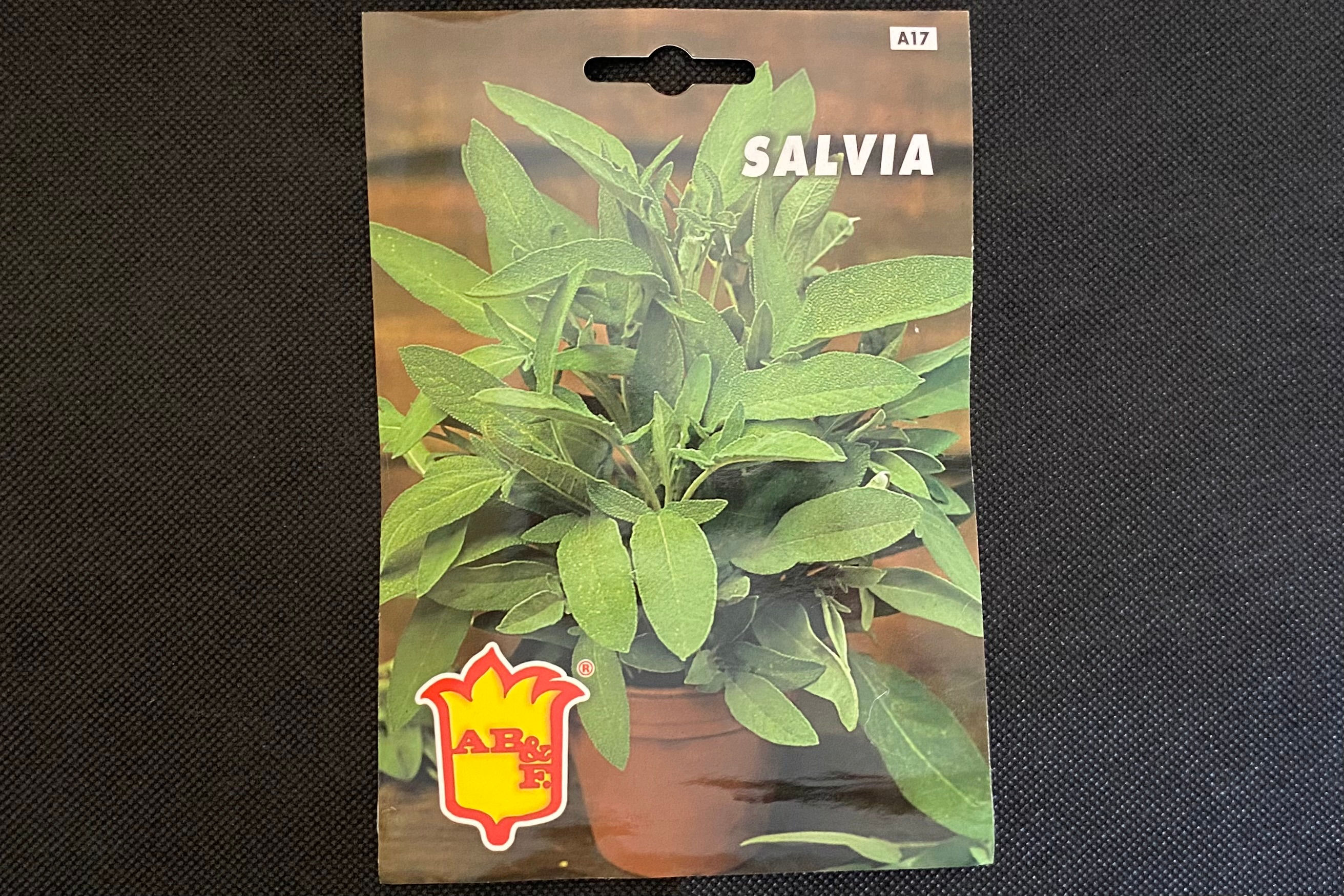 Semi Salvia Officinalis