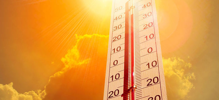 Canicule-ou-des-records-de-chaleur-ont-ete-battus-en-France.jpg