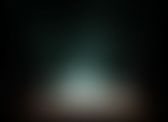 ТЎРТЛИКЛАР