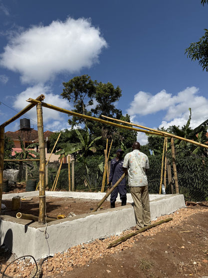 Two individuals are actively raising and securing horizontal bamboo poles to form the framework of a Walipini Impact Build, demonstrating the hands-on construction efforts for the Walipini Impact in Uganda.