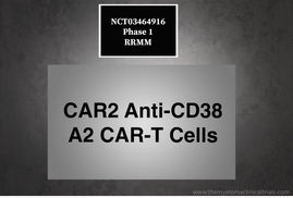 NCT03464916: Phase 1: Study to Evaluate the Safety and Efficacy of Anti-CD38 CAR-T in RRMM