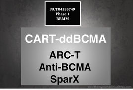 NCT04155749: Phase 1 : CART-ddBCMA - Master Protocol for Cell Therapies in Multiple Myeloma