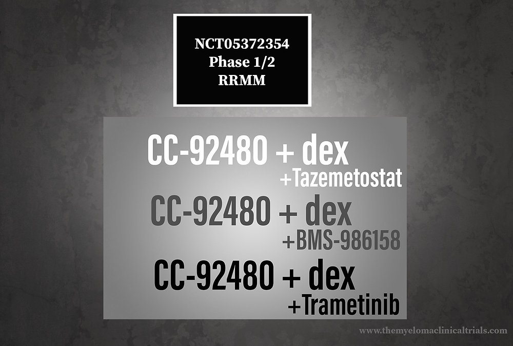 &medical 2個まとめ 91JIDD3P+pL._UF350,350_QL50_.jpg