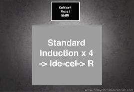 NCT04196491: Phase 1 - Evaluate the Safety of bb2121 in High Risk, New Myeloma (NDMM) (KarMMa-4)