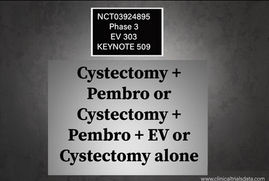 KEYNOTE-905 (EV-303): NCT03924895: Phase 3: Periop Pembro + Cystectomy or Periop Pembro + Enfortumab Vedotin + Cystectomy Versus Cystectomy Alone in (Cis ineligible) Muscle-invasive Bladder Cancer