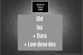 Phase II HOVON 143 Study: Ixazomib, Dara and Low Dose Dex in Intermediate-Fit Patients NDMM