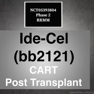 NCT05393804: Phase 2: Trial of CART Ide-cel (bb2121) Status Post Hematopoietic cell Transplantation