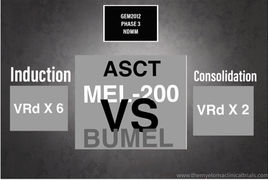 NCT01916252: Phase 3 - Bortezomib, Lenalidomide & IV Busulfan Under 65 - (GEM2012MENOS65) PETHEMA