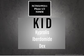 NCT05199311: Phase 1/2: Carfilzomib, Iberdomide (CC-220) and Dexamethasone (KID) in TE - NDMM
