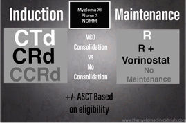 NCT01554852: Phase 3- Thalidomide, Lenalidomide, Carfilzomib, Bortezomib, Vorinostat-NDMM Myeloma XI
