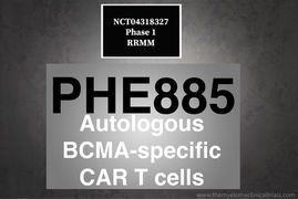 NCT04318327: Phase 1 - BCMA-directed CAR-T Cell Therapy in Adult Patients With RRMM