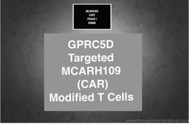 NCT04555551:Phase 1 - MCARH109 Chimeric Antigen Receptor (CAR) Modified T Cells for Multiple Myeloma