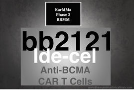 NCT03361748 : KarMMa - Phase 2 - To Determine the Efficacy and Safety of bb2121 in refractory MM