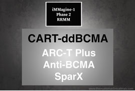 NCT05396885: Phase 2: Study of CART-ddBMCA in Relapsed or Refractory Multiple Myeloma - iMMagine-1