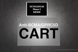 NCT05509530: Phase 2: Safety and Efficacy of Anti-BCMA/GPRC5D CAR-T Cell Therapy in Treating RRMM
