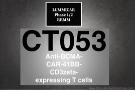 NCT03915184: Phase 1 - Clinical Trial to Evaluate CT053 in Patients With Relapsed and/or Refractory 