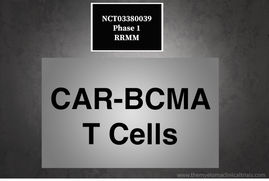 NCT03380039: Phase 1 - Clinical Study of CAR-BCMA T Cells in Patients With RRMM