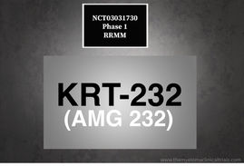 NCT03031730: Phase 1: Testing the Addition of KRT-232 (AMG 232) to Usual Chemotherapy RRMM Myeloma