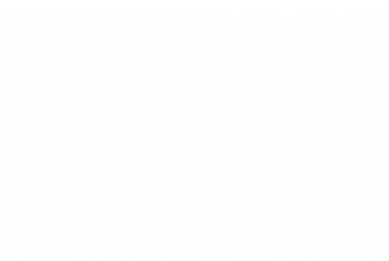 Pattern_Barokk_Stor_Hvit_Gradient.png