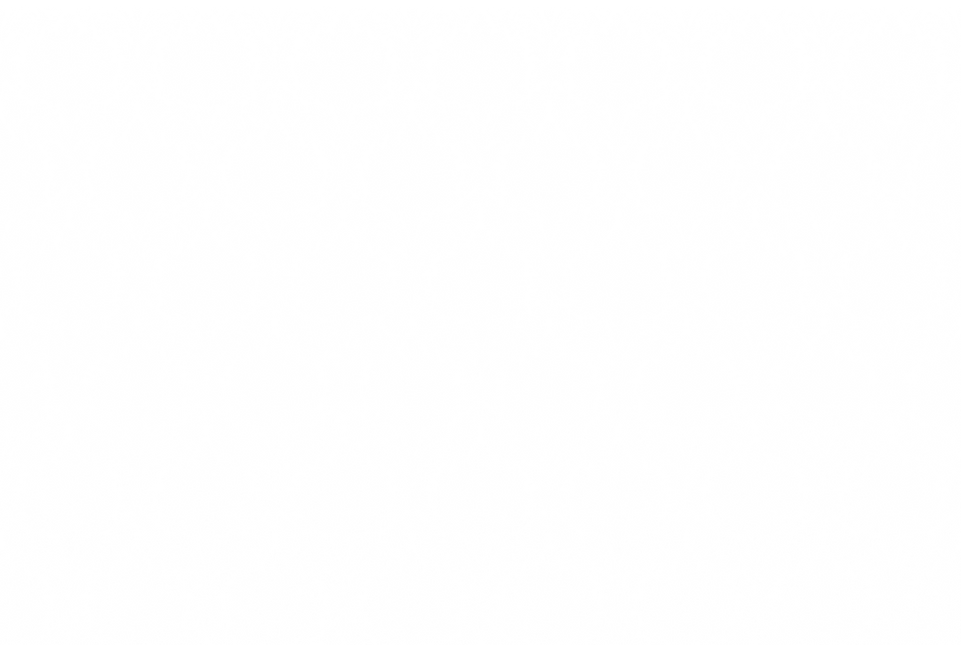 Pattern_Barokk_Stor_Hvit_Gradient.png
