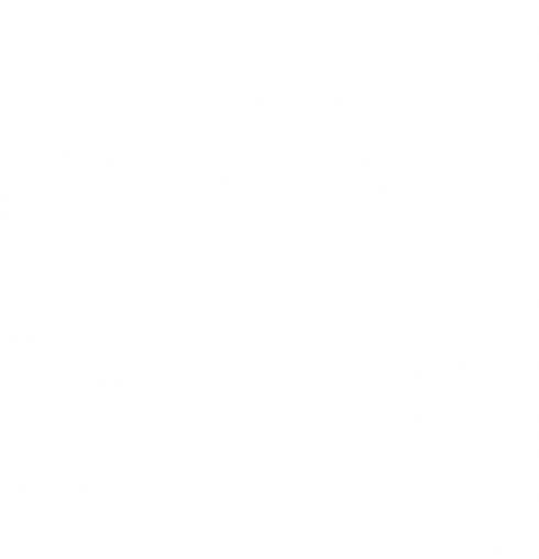 Pattern_Barokk_Stor_Hvit.png