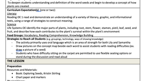 Gr. 3 Literacy: KWL Chart 