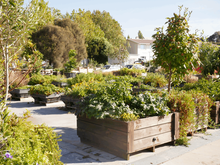 Finding Landscape Supplies in Tasmania for Every Project