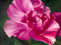 Pink Rose II jpg EJ4A2844-2845c-9x12L2.j